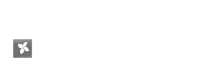 Fundação La Caixa | BPI